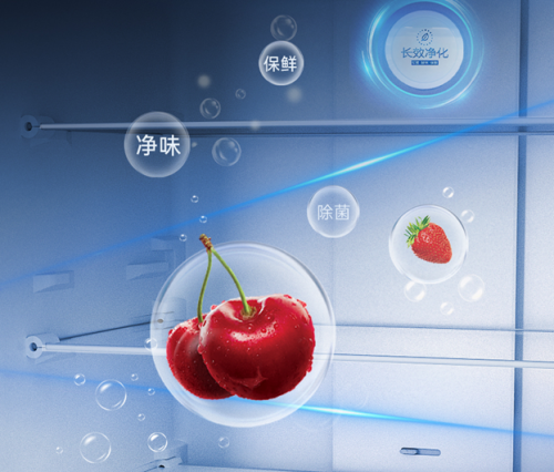 春节囤货指南：澳柯玛冰箱让年味保鲜更安心